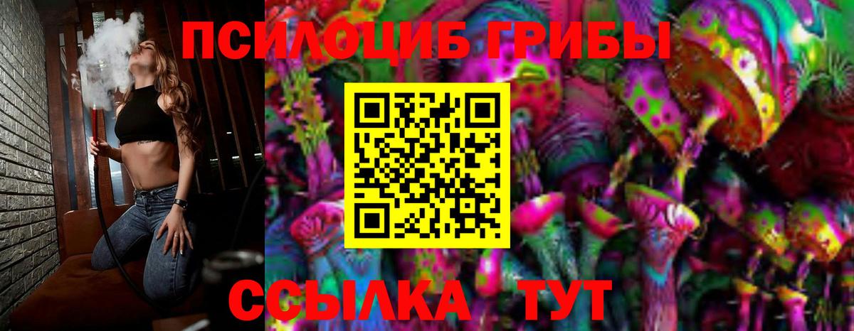 Псилоцибиновые грибы MAGIC MUSHROOMS  Вход с VPN  наркота  Нижний Тагил 